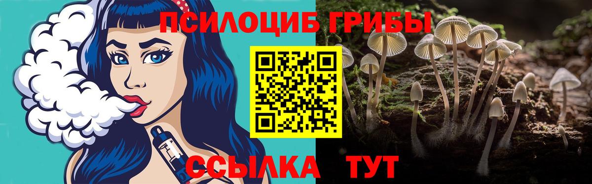 Майкоп  Псилоцибиновые грибы Psilocybine cubensis  Вход с VPN  Галлюциногенные грибы ЛСД 
